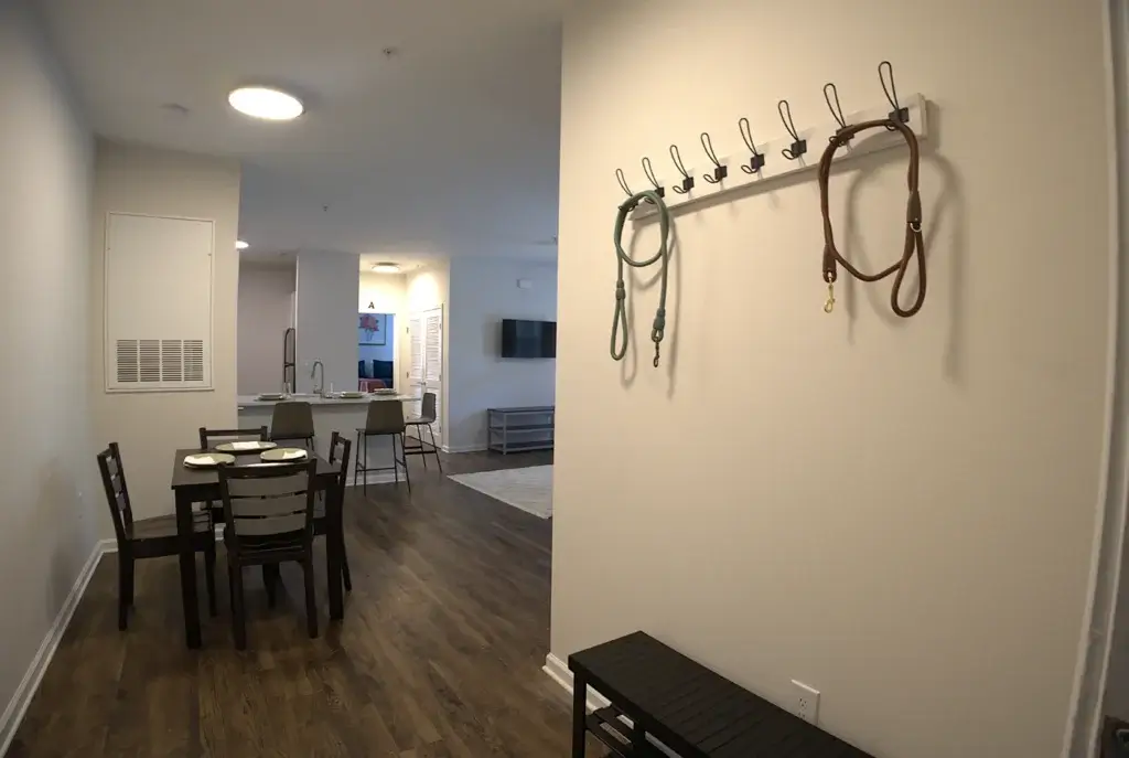Spacious Open-Concept Layouts Designed for Comfortable Student Living Image